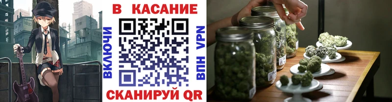 Псилоцибиновые грибы Приморско-Ахтарск