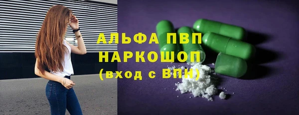 стафф Зеленокумск