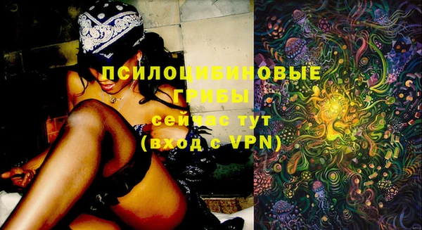стафф Зеленокумск