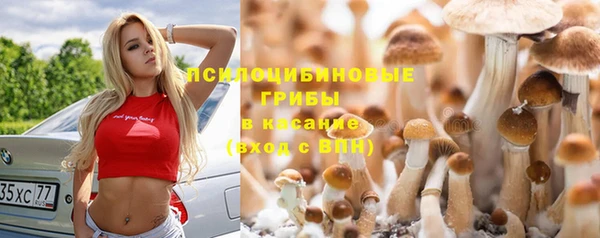 ешки Заволжье