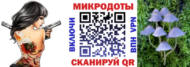 Купить  Приморско-Ахтарск  Псилоцибиновые грибы ЛСД 